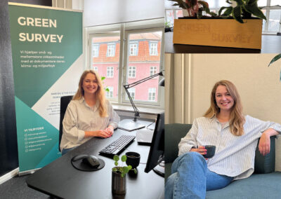 Louise hjælper virksomheder med at tage det grønne skridt